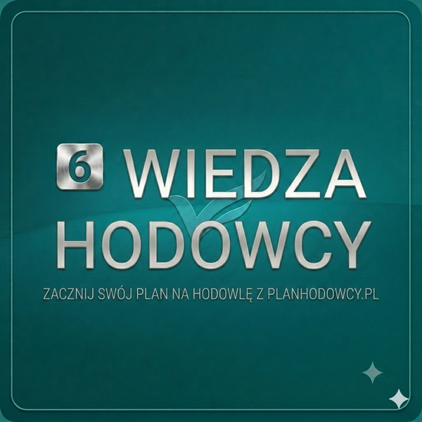 Znaczniki dla gołębi