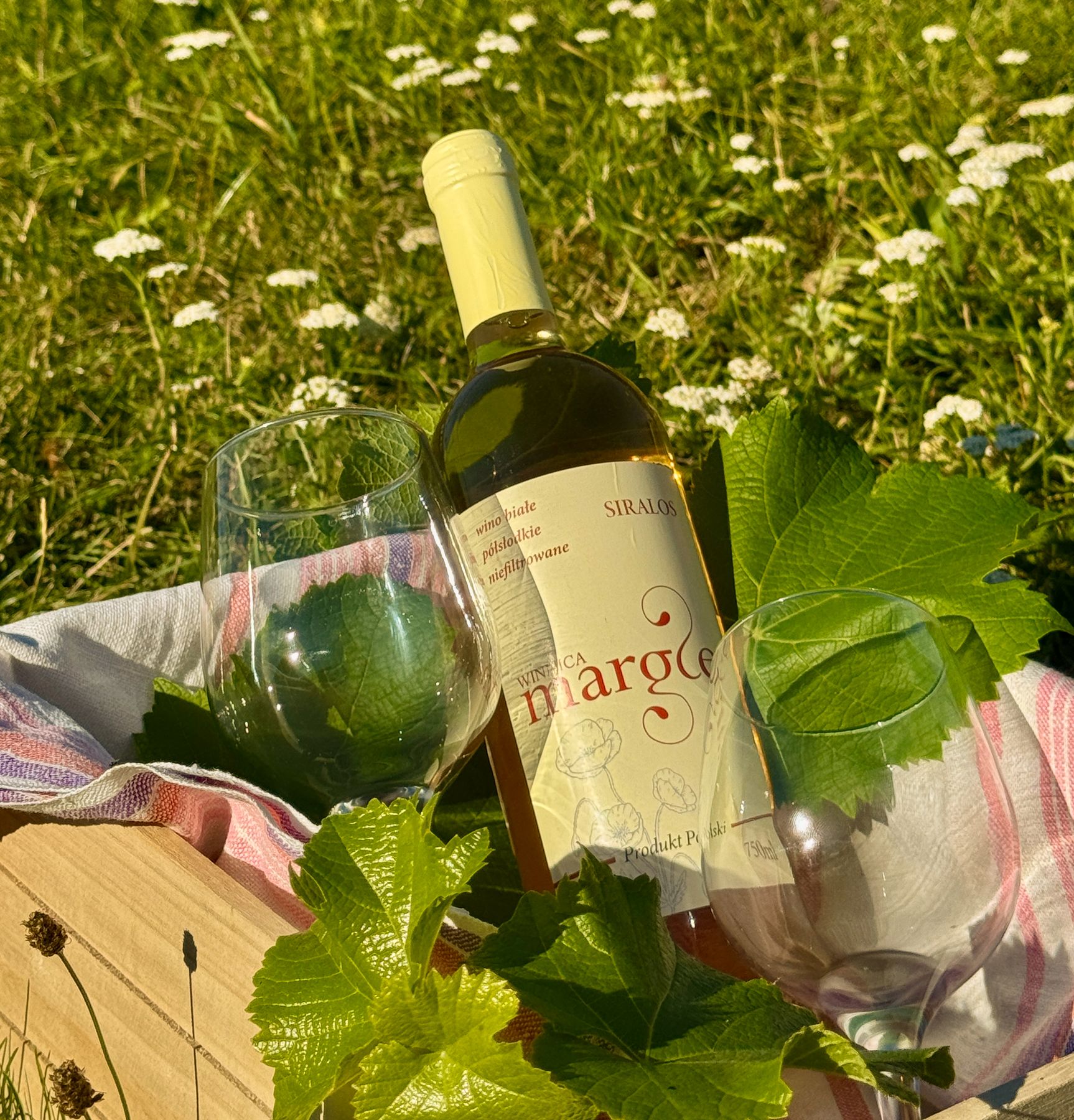 Wino Siralos na łące